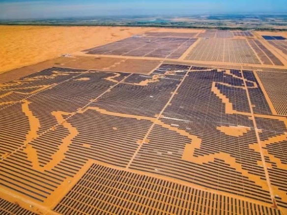 全球足跡 | 陽光組件描繪沙漠上的“綠色奇跡”